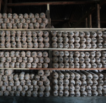 π¦ Packaging Higienis